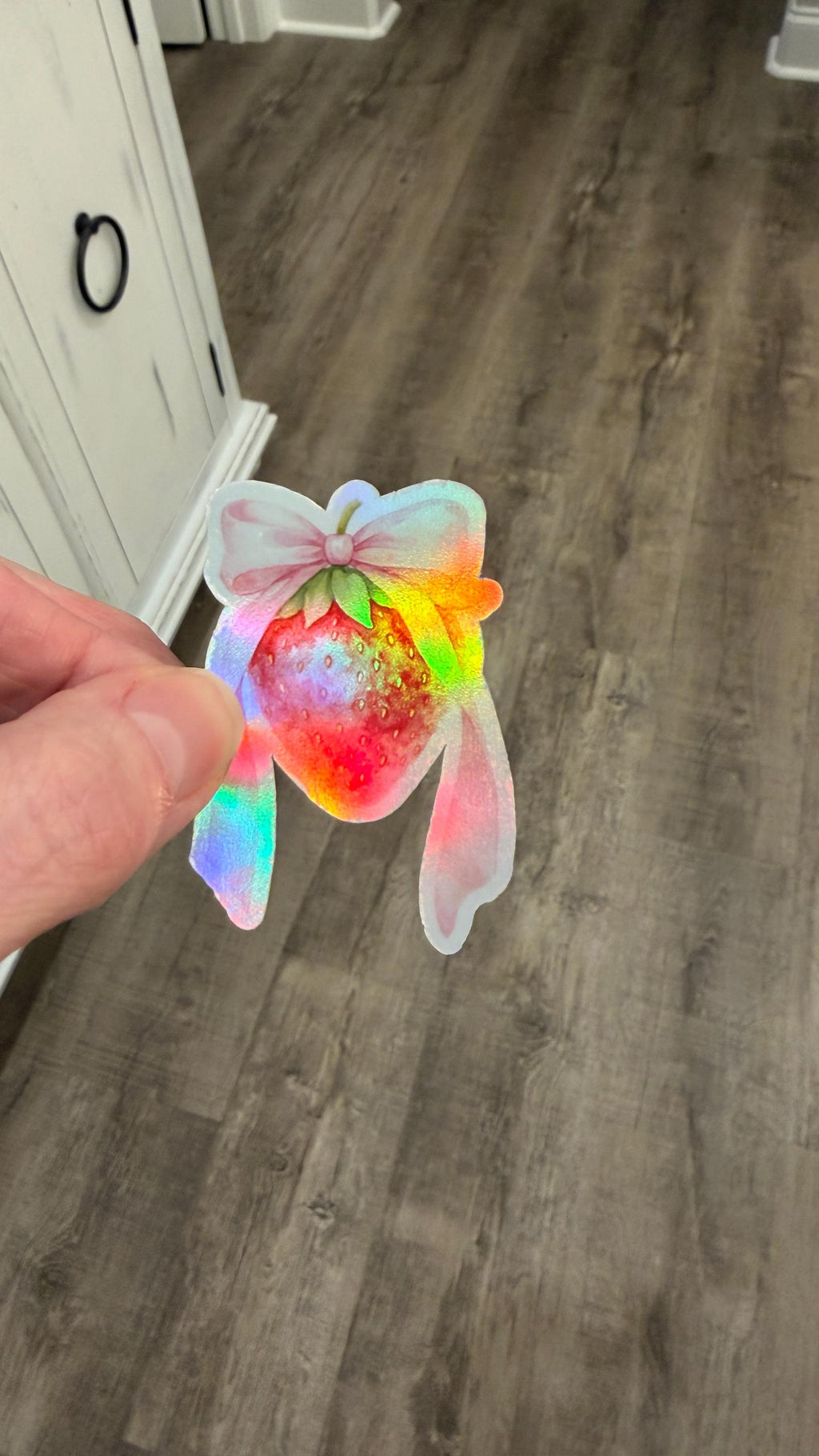 Holographic Coquette Sticker Set